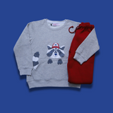 Racoon Sweatshirt & Trouser Set